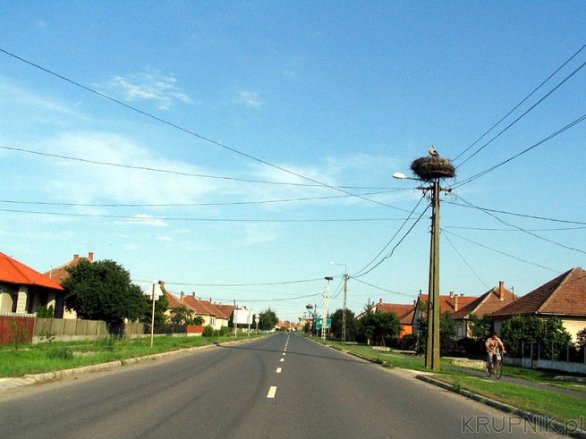 Jadąc na Węgrzech przejeżdżamy przez bocianią wioskę - gniazdo jest na każdym ...
